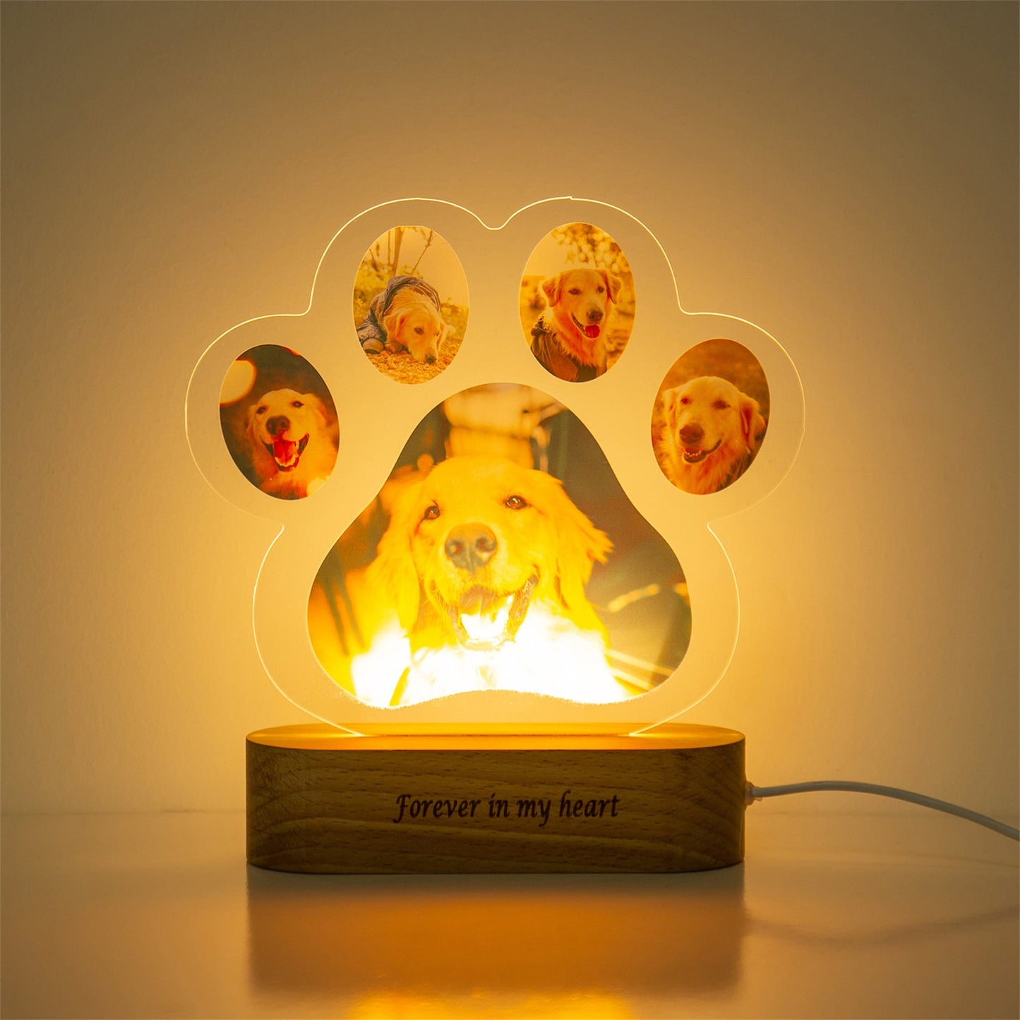 Custom Dog Paw Photo Acrylic Table Lamp