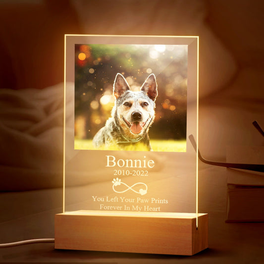 Personalized Pet Photo Memorial Night Lamp
